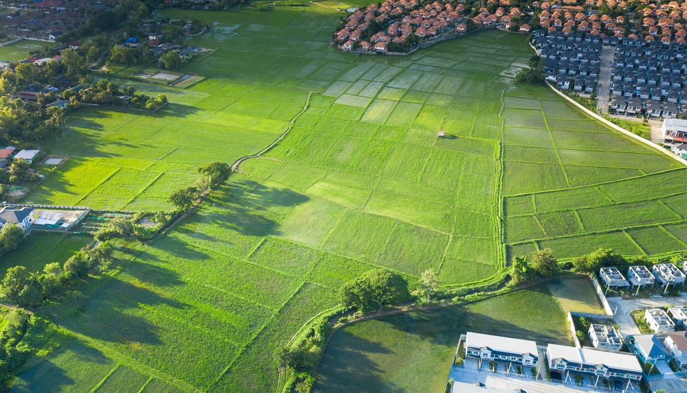 Cultivated,Land,And,Land,Plot,Or,Land,Lot.,Consist,Of
